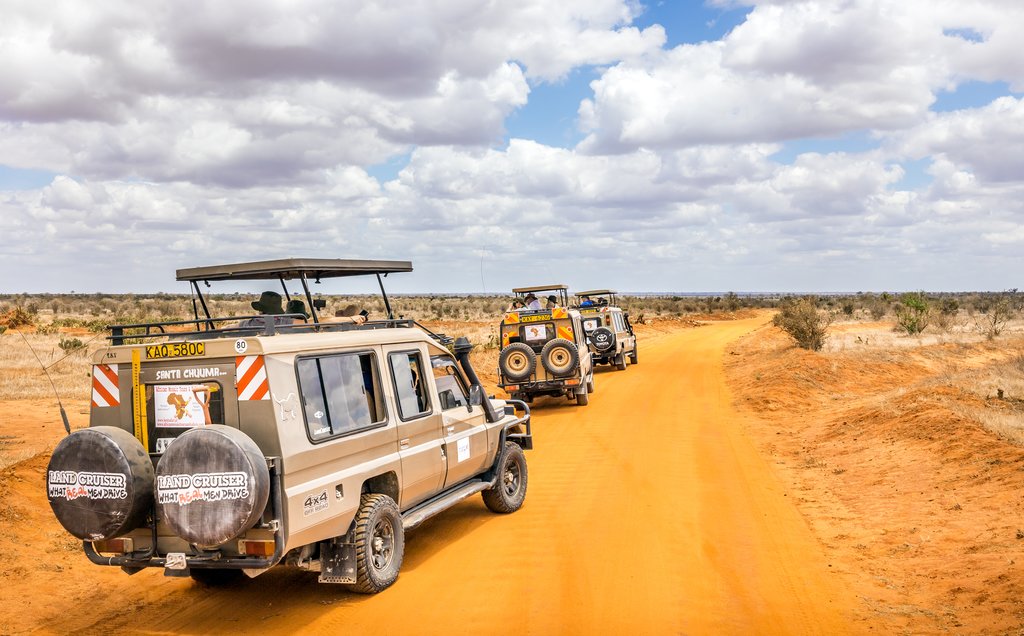 Herd of Elephants in Kenya